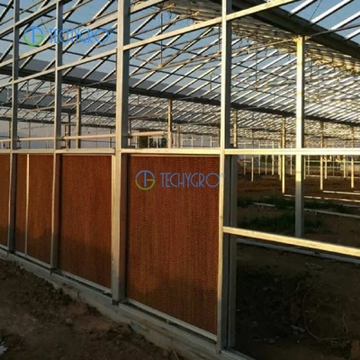 Techygro GH-02C Multi-span Medicinal Plants Greenhouse Sight Commercial Polycarbonate Sheet Greenhouse UV Resistant On Sale